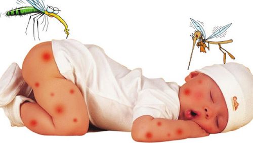 Bệnh sốt rét do muỗi vằn gây ra