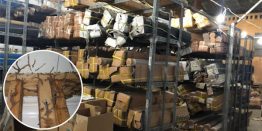 cach diet moi an giay tan goc