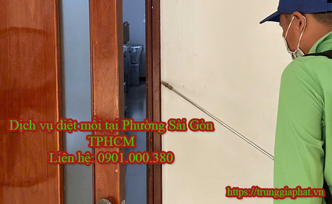 Diệt mối tại Phường Sài Gòn